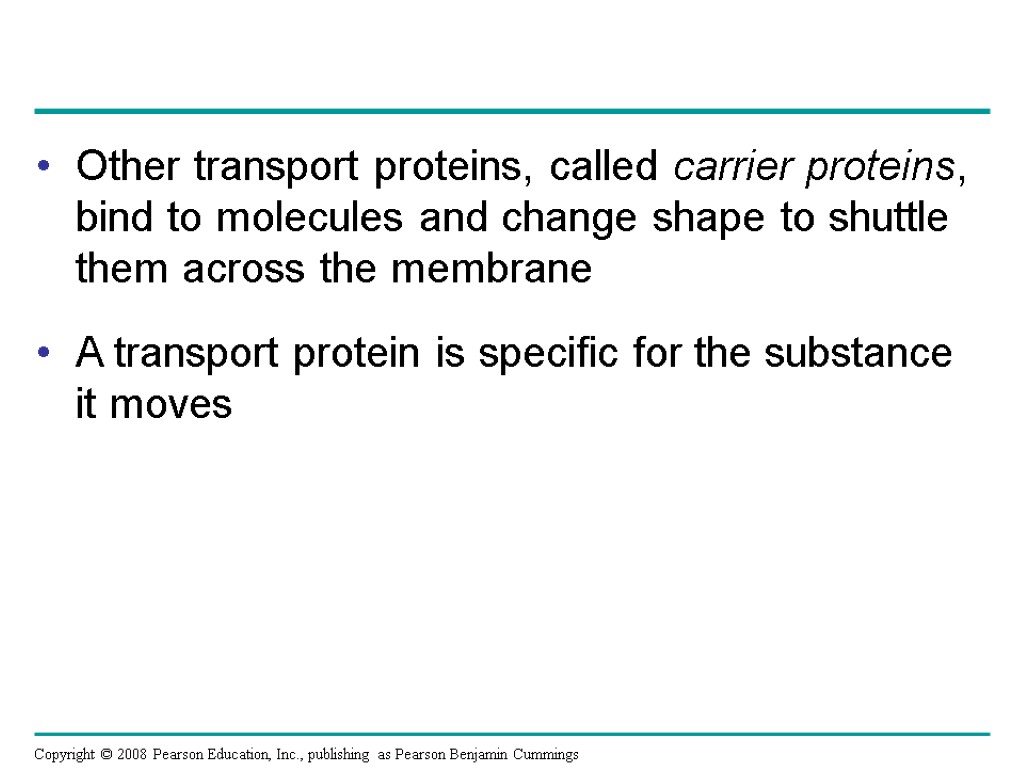 Other transport proteins, called carrier proteins, bind to molecules and change shape to shuttle